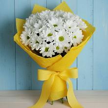 Букет цветов из:  Хризантемы в Ивантеевке