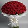 Букет 101 Красная роза Блэк Мэджик в Ивантеевке