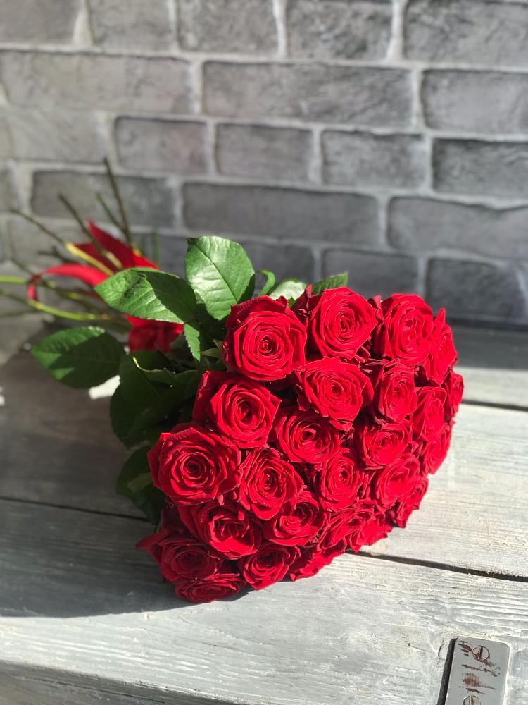 Букет Красные розы Фридом в Ивантеевке
