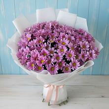 Букет цветов из:  Хризантемы в Ивантеевке