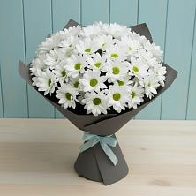 Букет цветов из:  Хризантемы в Ивантеевке