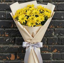 Букет цветов из:  Хризантемы в Ивантеевке