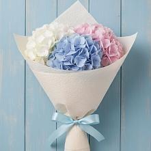 Букет цветов из:  Гортензия в Ивантеевке