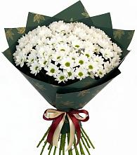 Букет цветов из:  Хризантемы в Ивантеевке