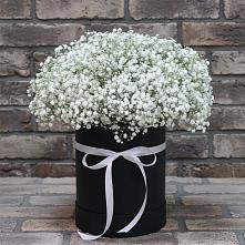 Цветочная композиция из Гипсофила в шляпной коробке в Ивантеевке