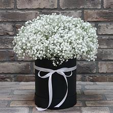 Цветочная композиция из Гипсофила в шляпной коробке в Ивантеевке