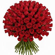 Букет Красные розы Чери Лав в Ивантеевке