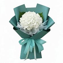 Букет цветов из:  Гортензия в Ивантеевке